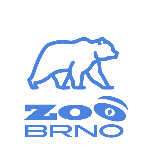 ZOO Brno: Medvěd kamčatský