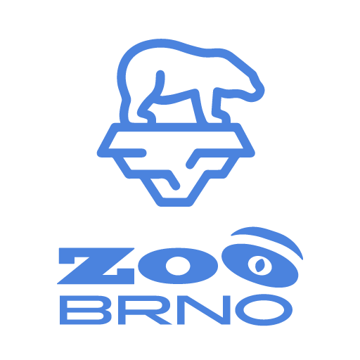 ZOO Brno: Medvěd lední